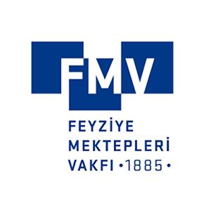 fmv